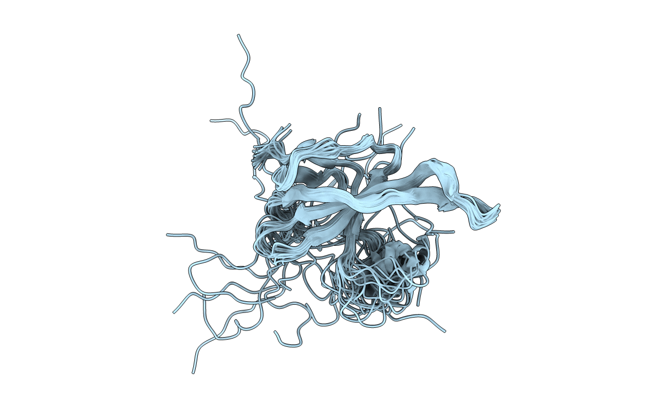 2K5D image