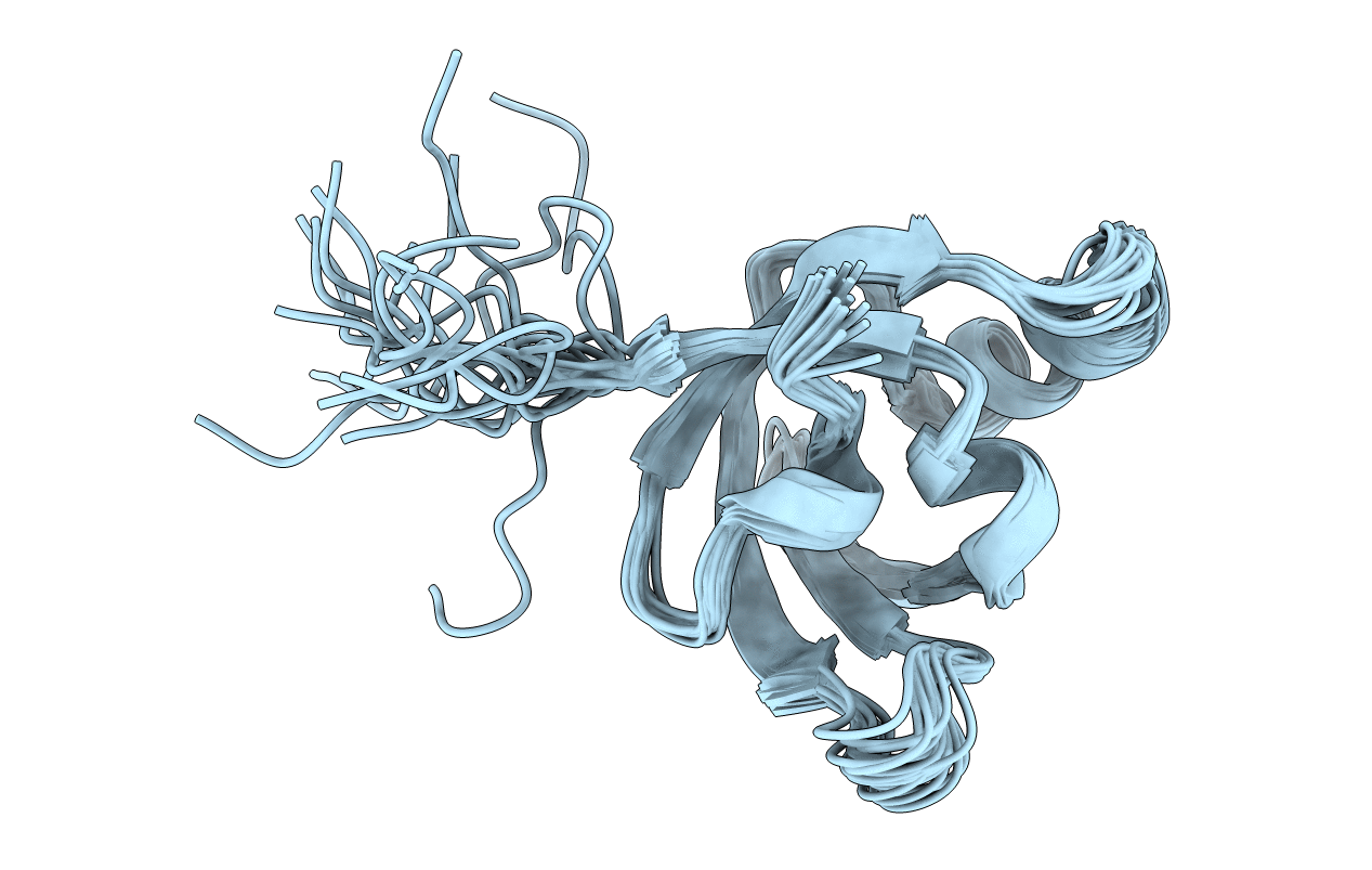 2K5L image