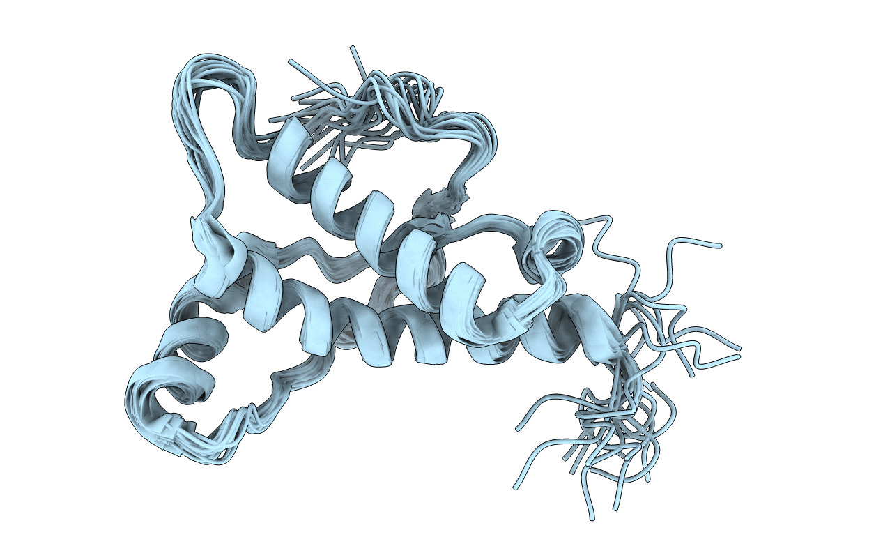 2K5O image