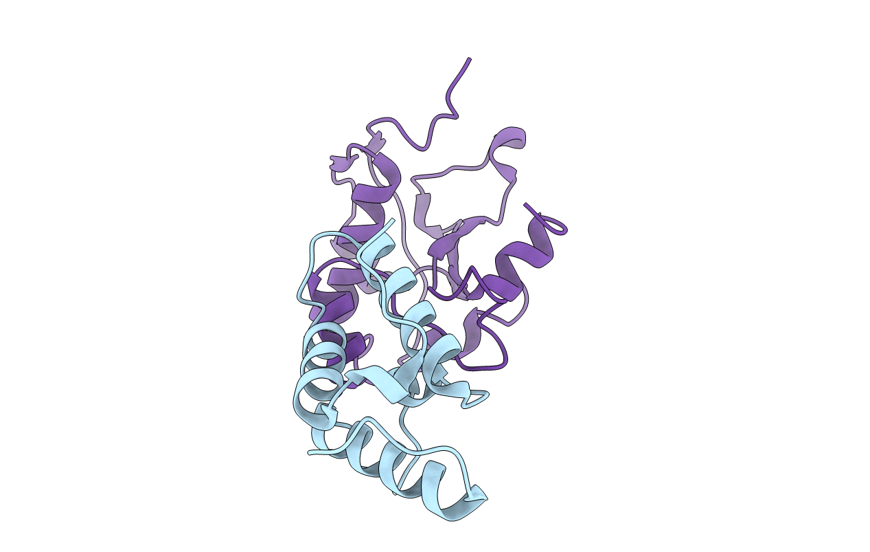 2K5X image