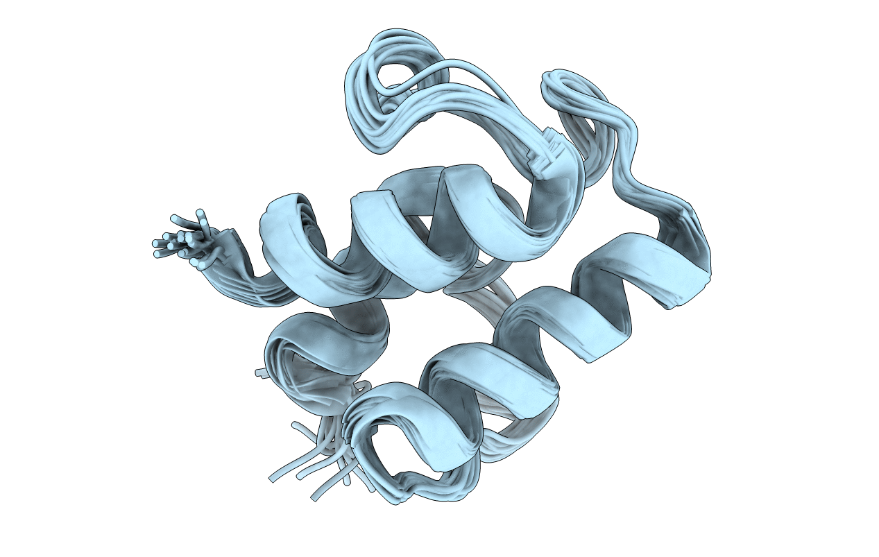 2K94 image