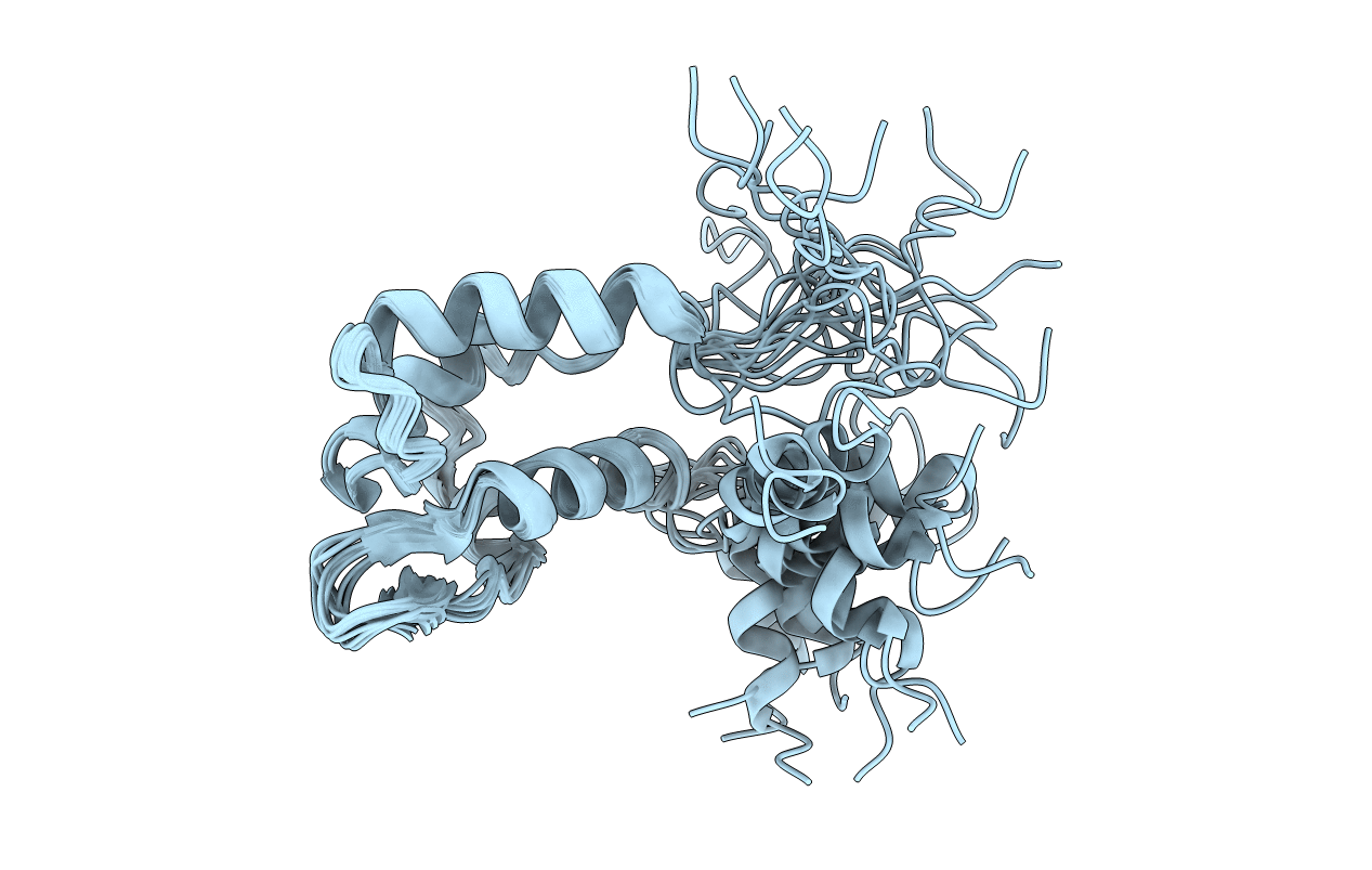 2KAV image