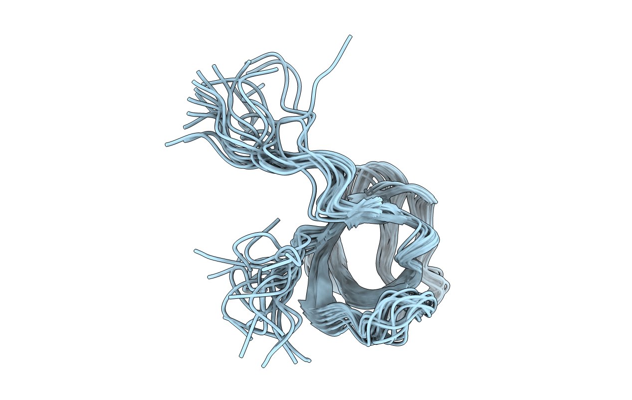2KBT image