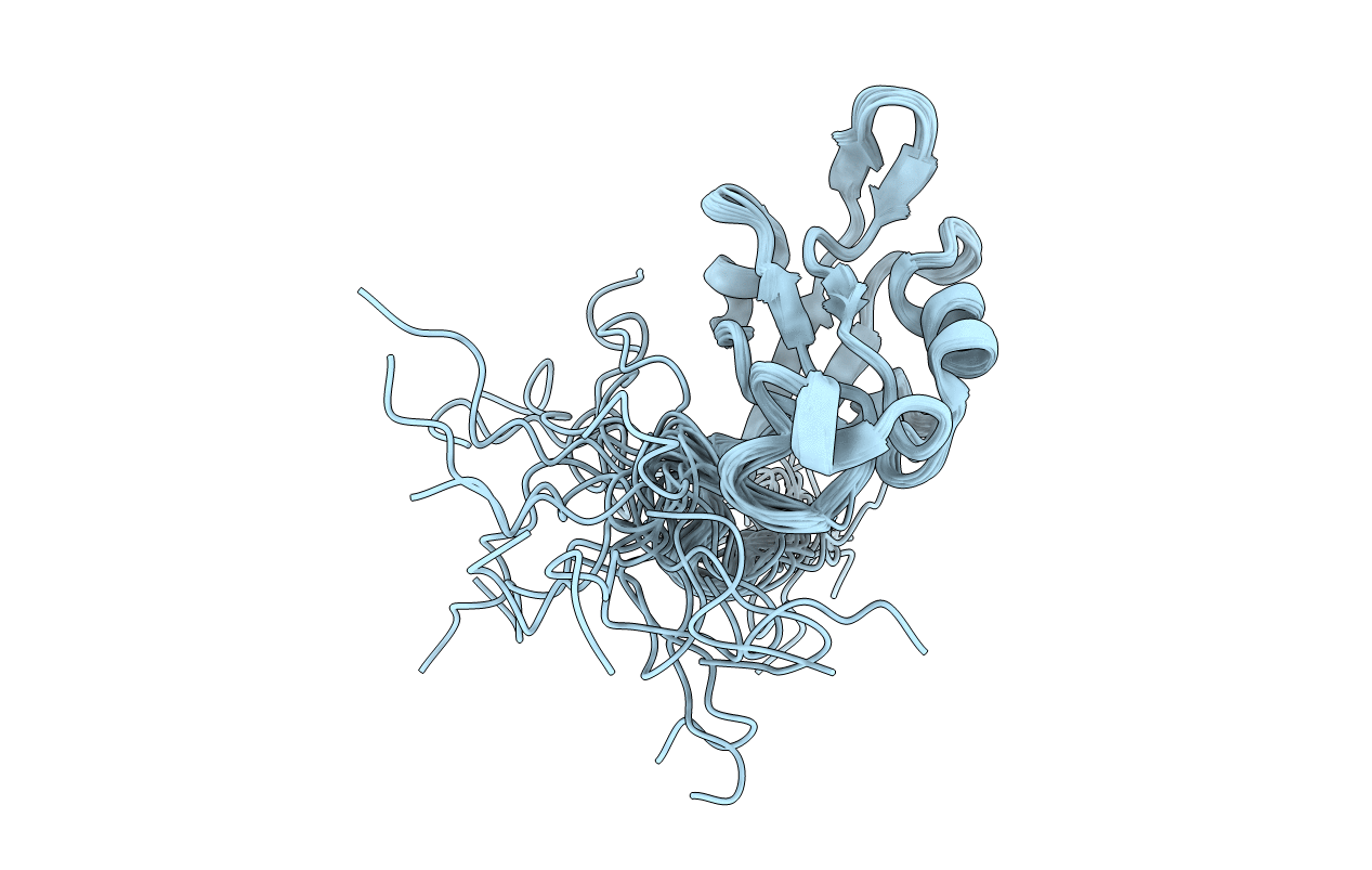 2KG2 image