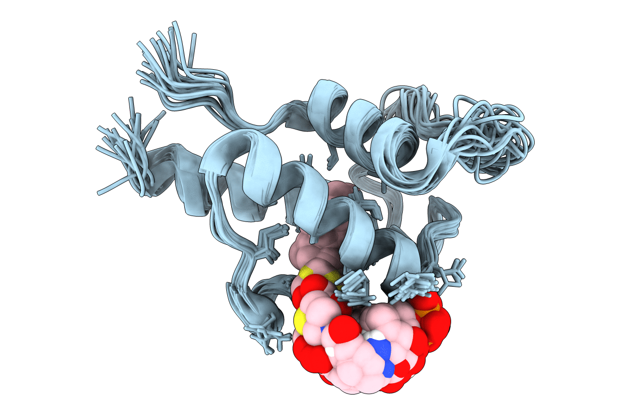 2kgc image
