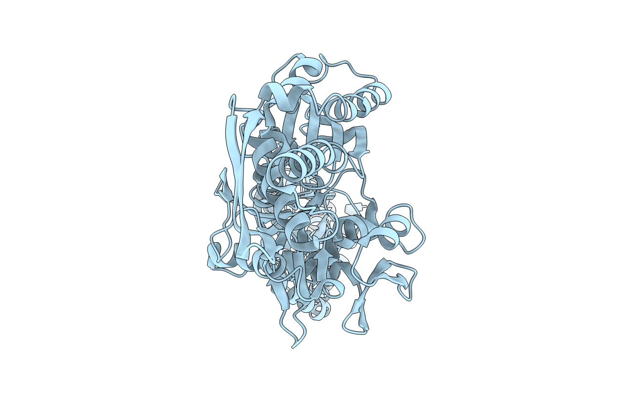 2KHO image