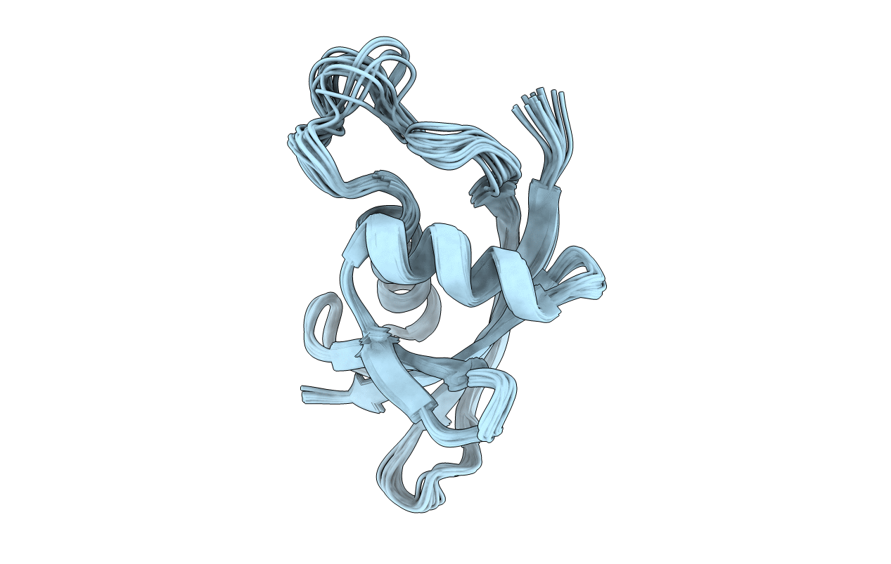 2KKC image