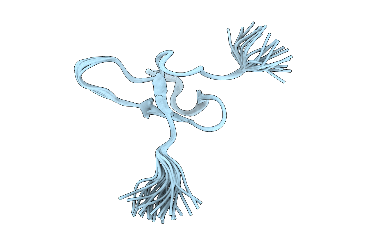 2KNI image