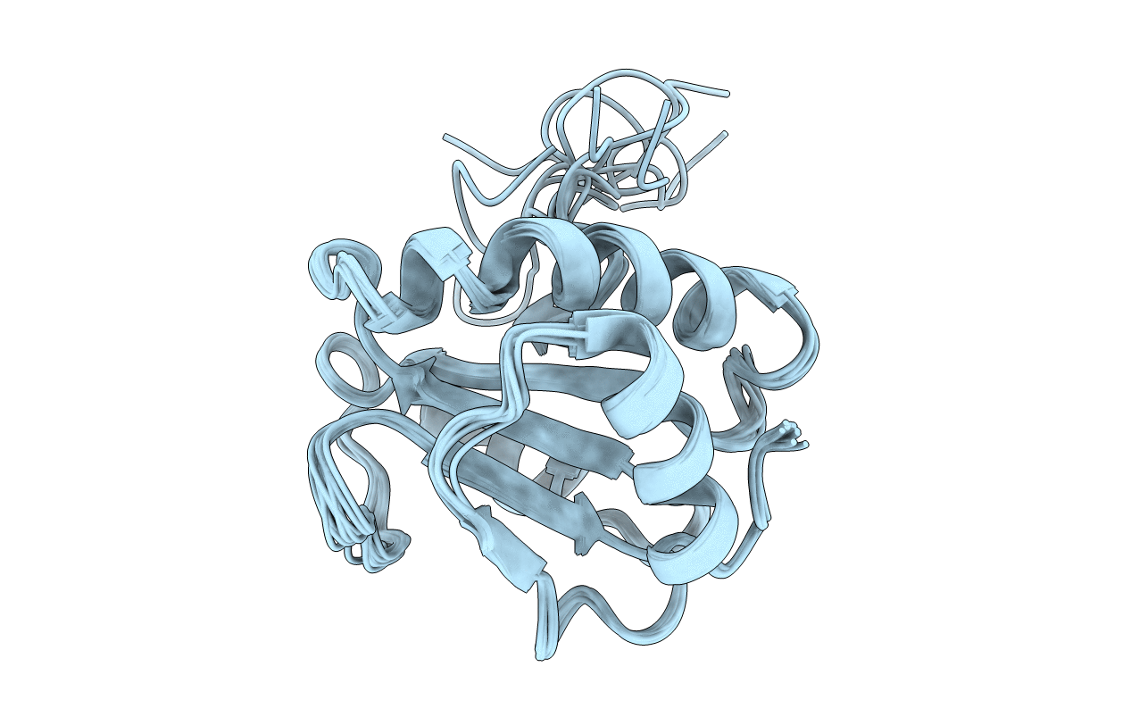 2KP1 image