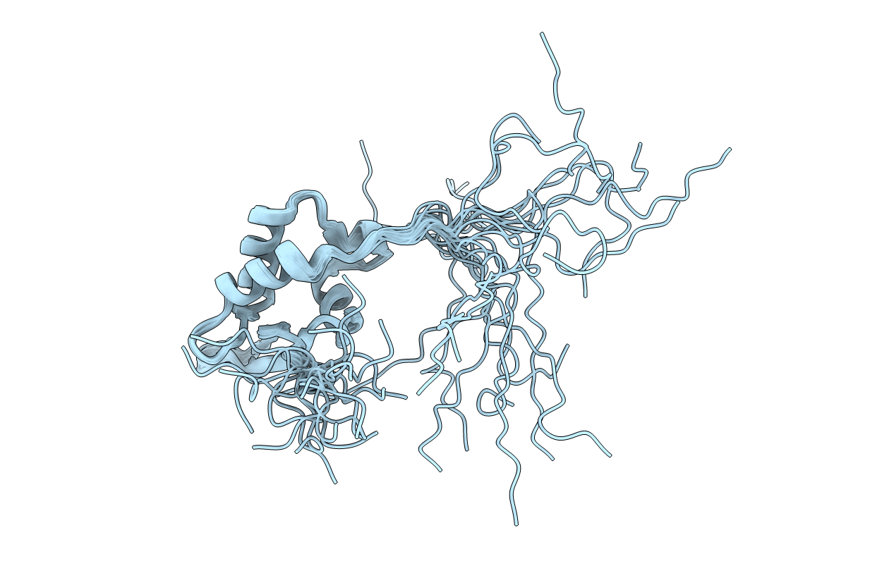 2KPM image