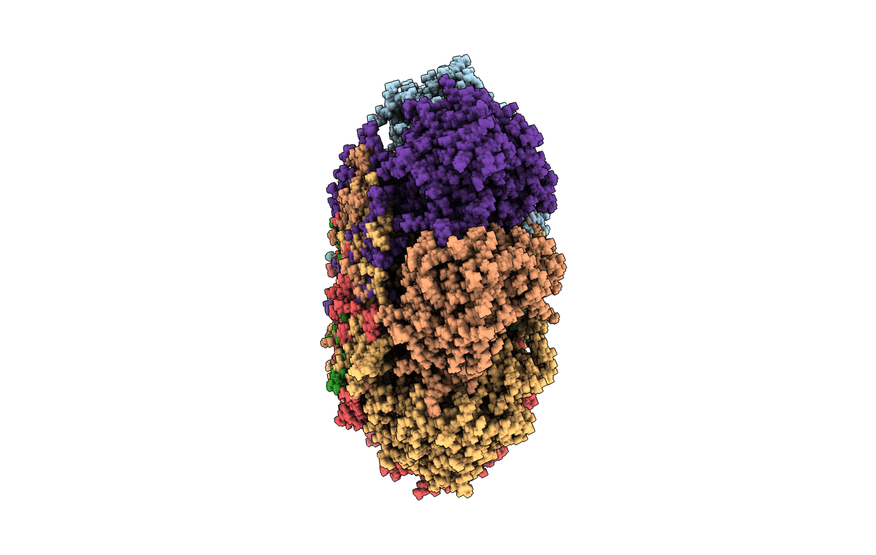 2KU2 image