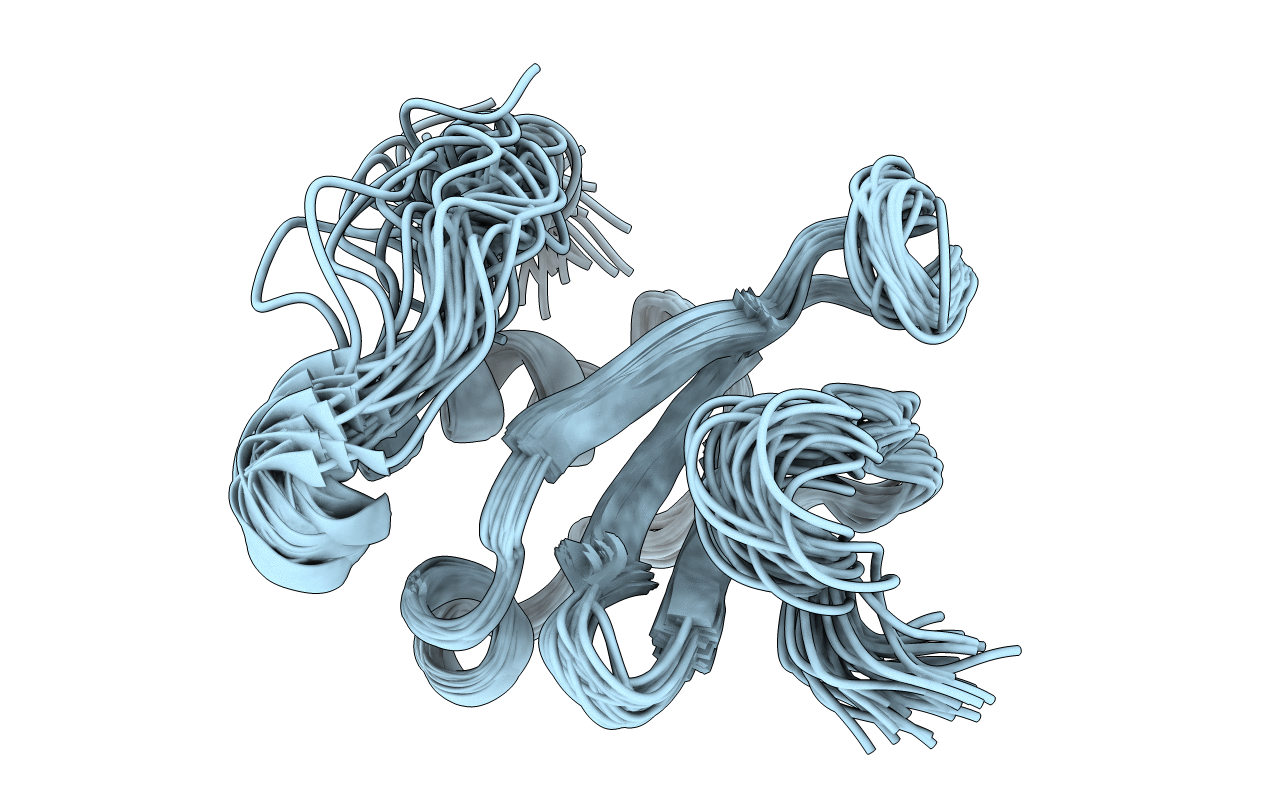 2KUM image
