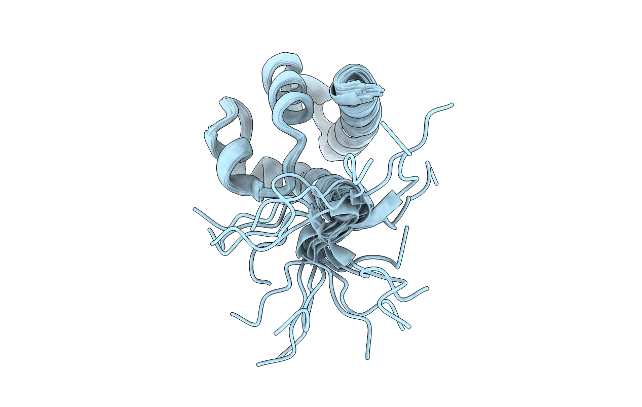 2KV2 image