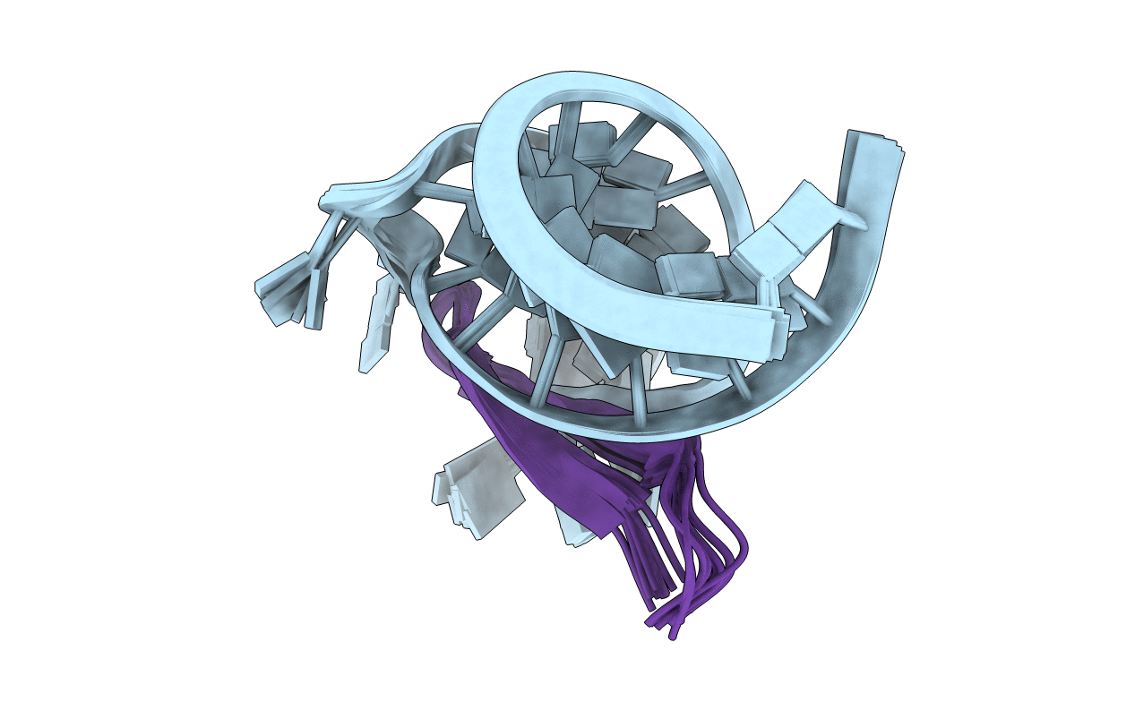 2KX5 image