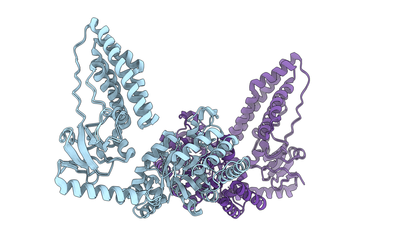 2KX9 image