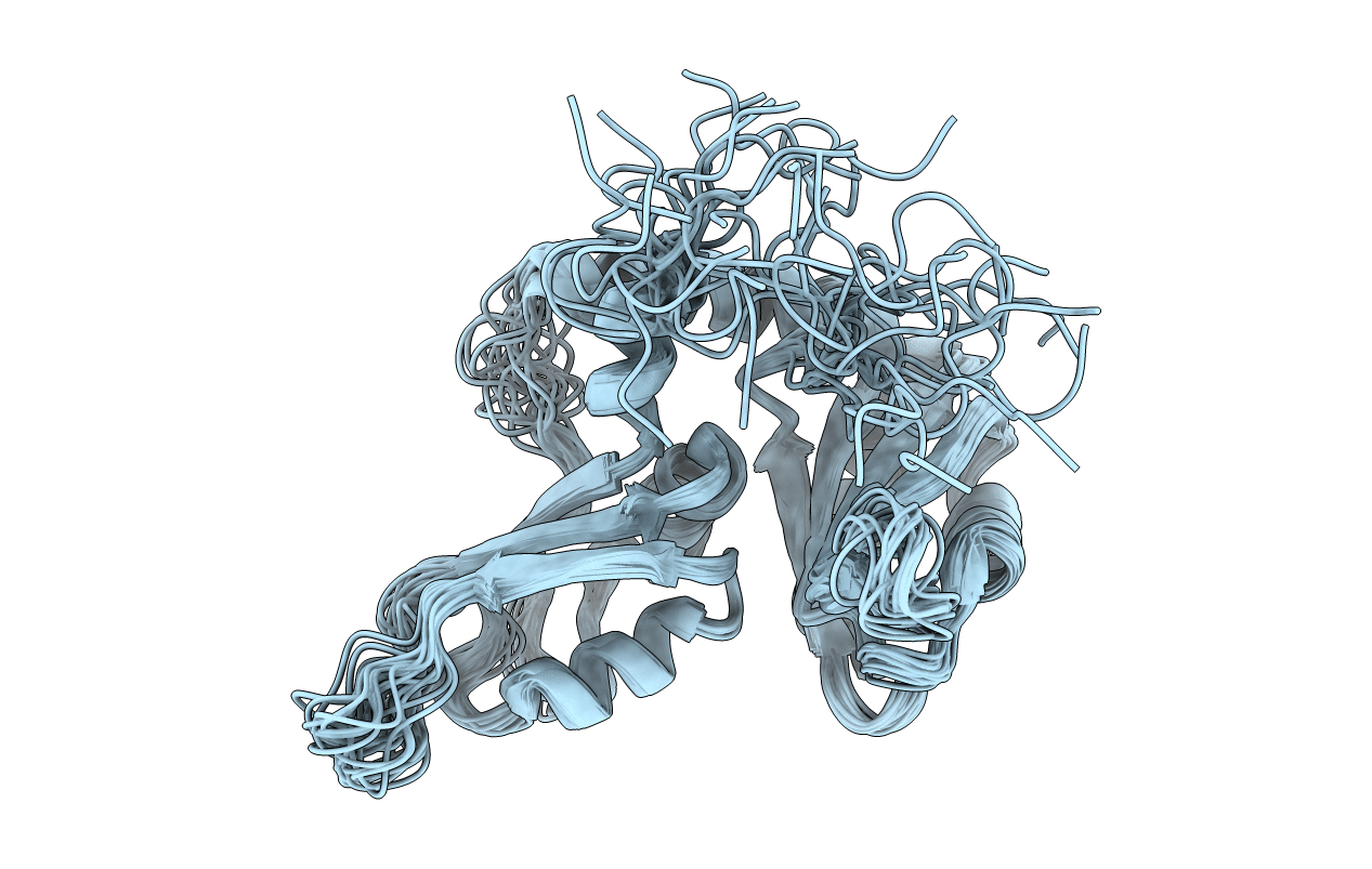 2KXF image
