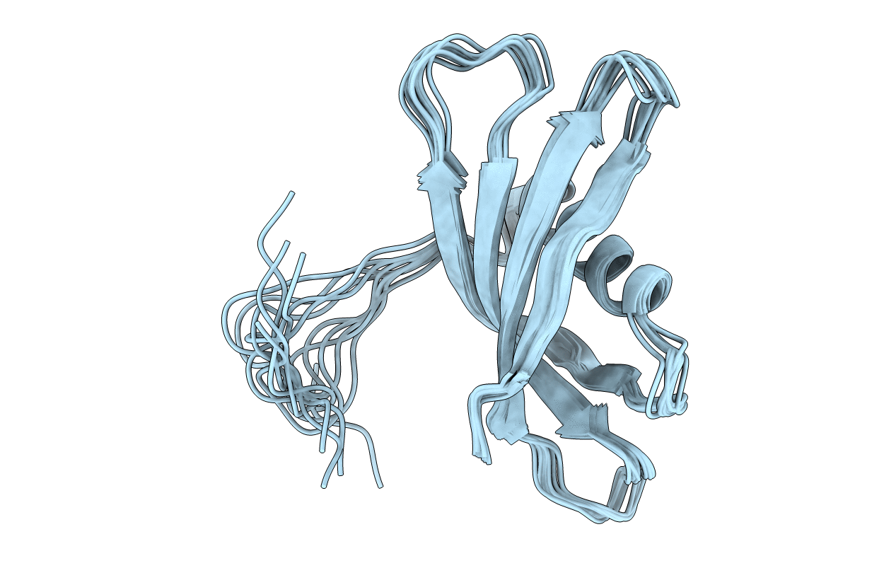 2KXG image