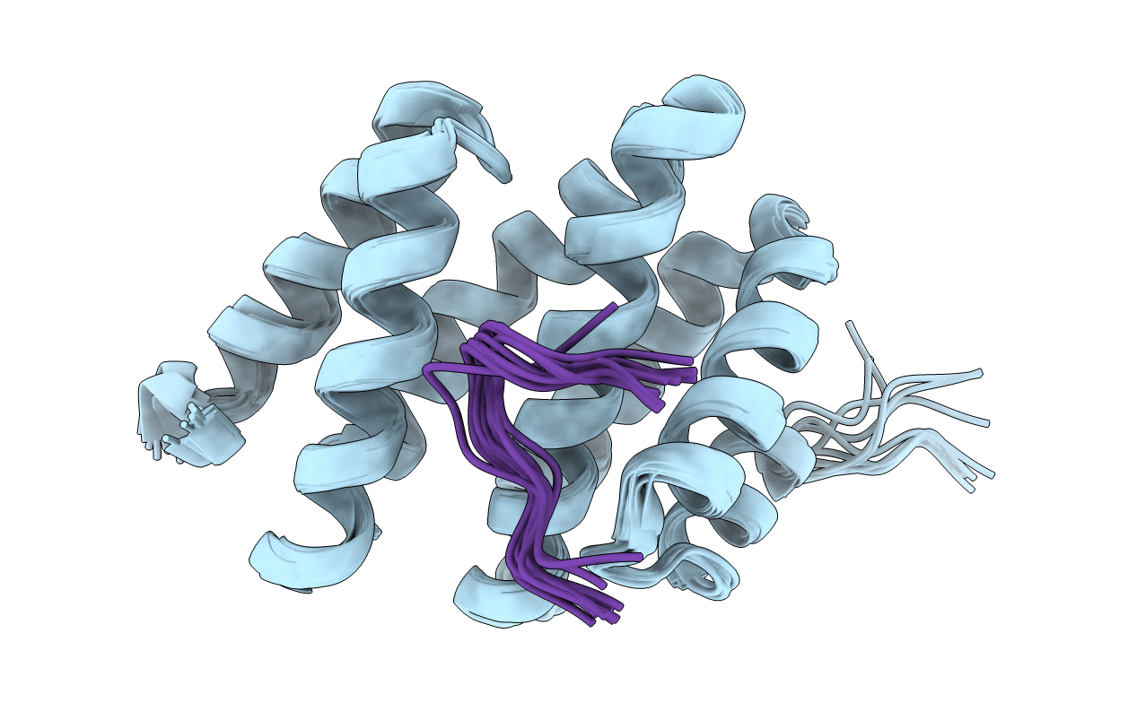 2L0I image
