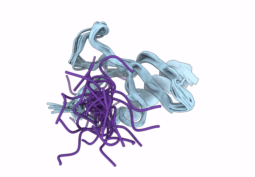 2L11 image