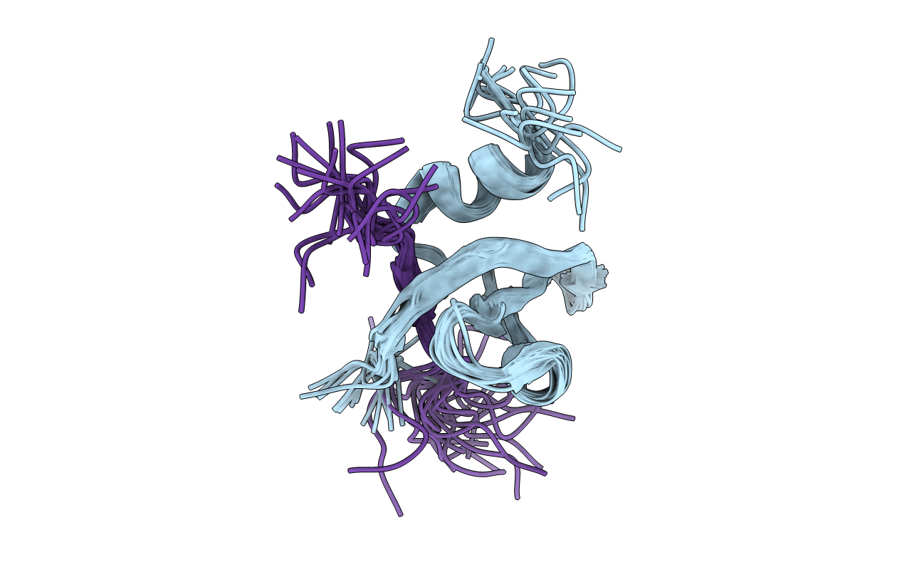 2L12 image