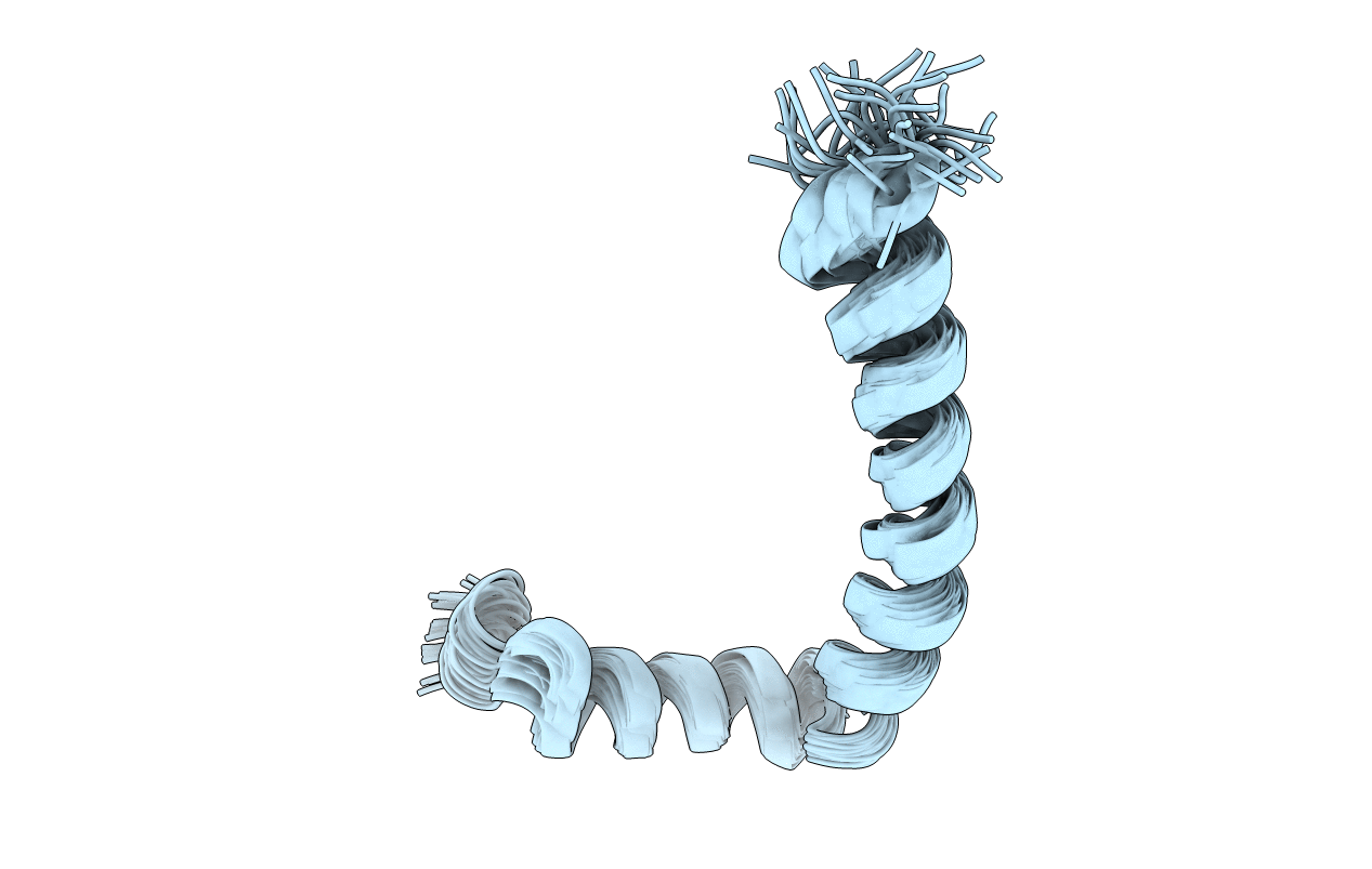2L16 image