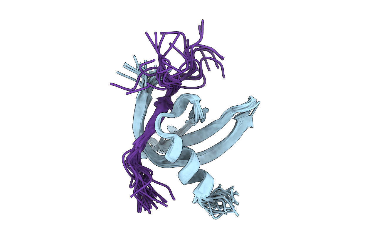 2L1B image