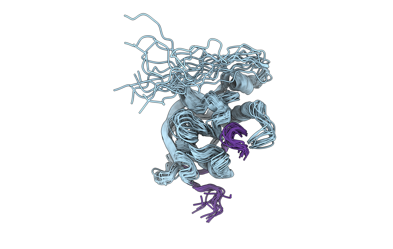 2L1C image