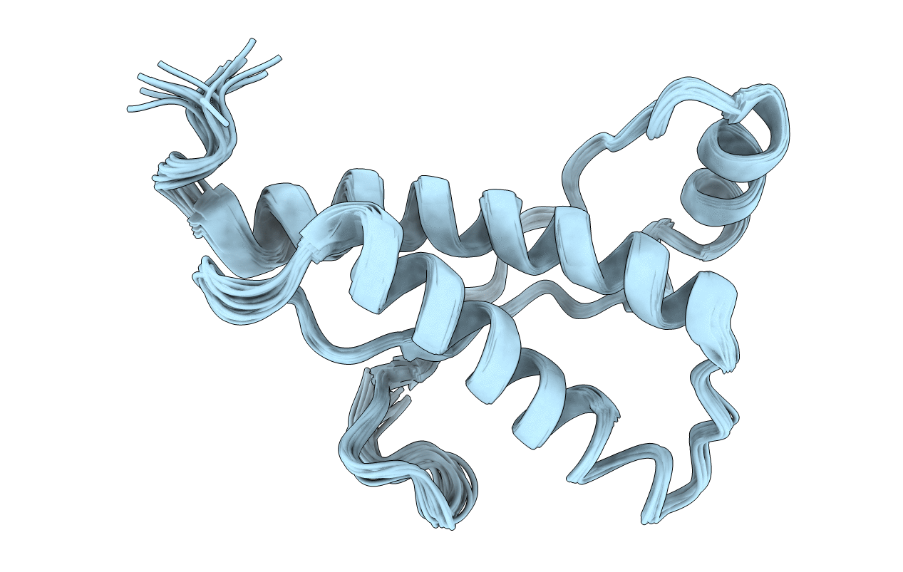 2L1D image