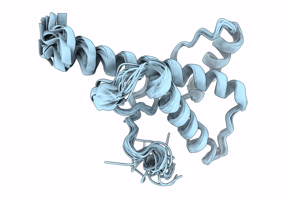 2L1H image