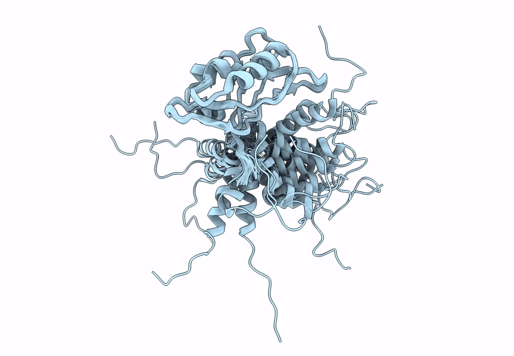 2L1M image