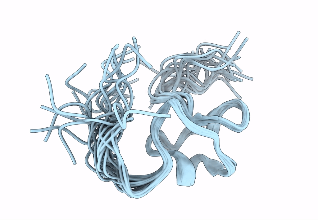 2L1Q image