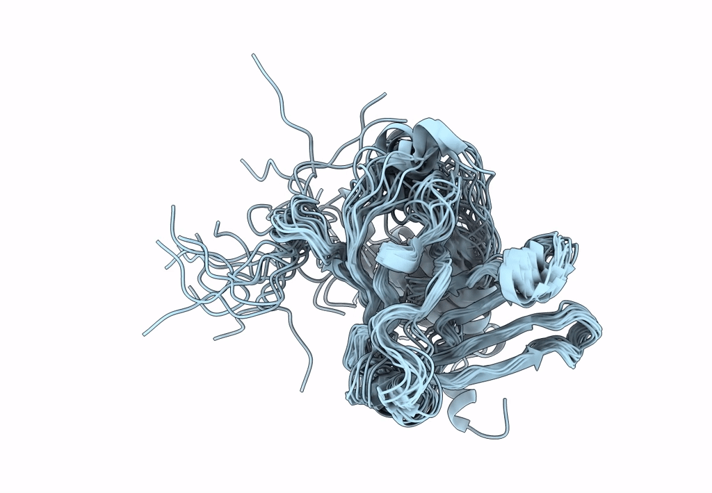 2L1U image