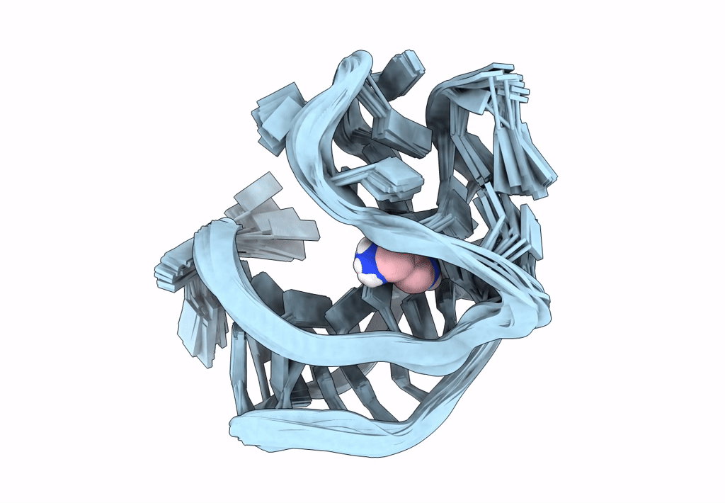 2L1V image