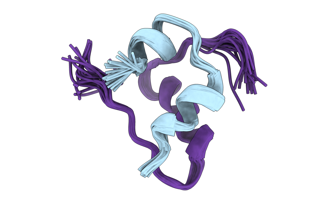 2L1Y image