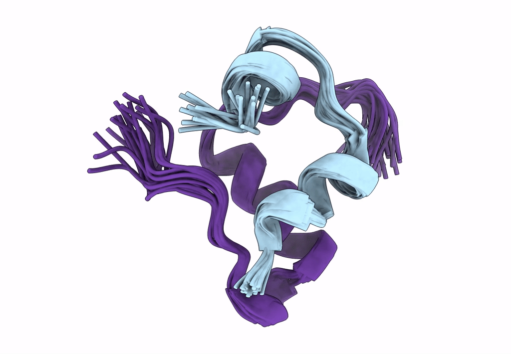 2L1Z image