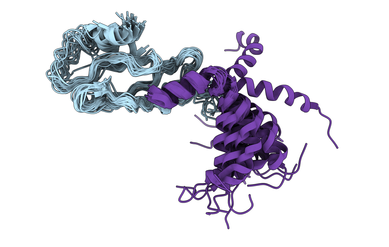 2L27 image