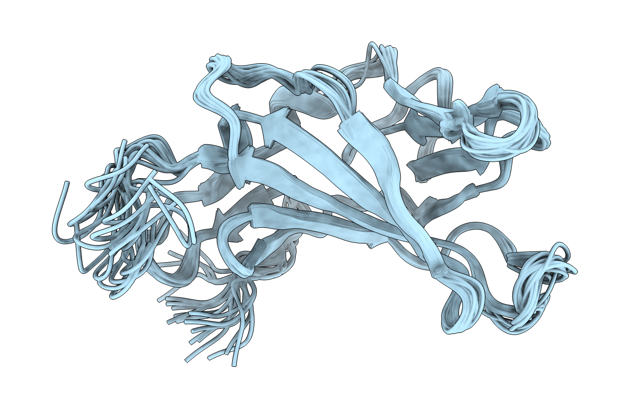 2L2G image