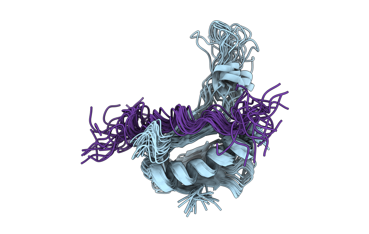 2L2I image