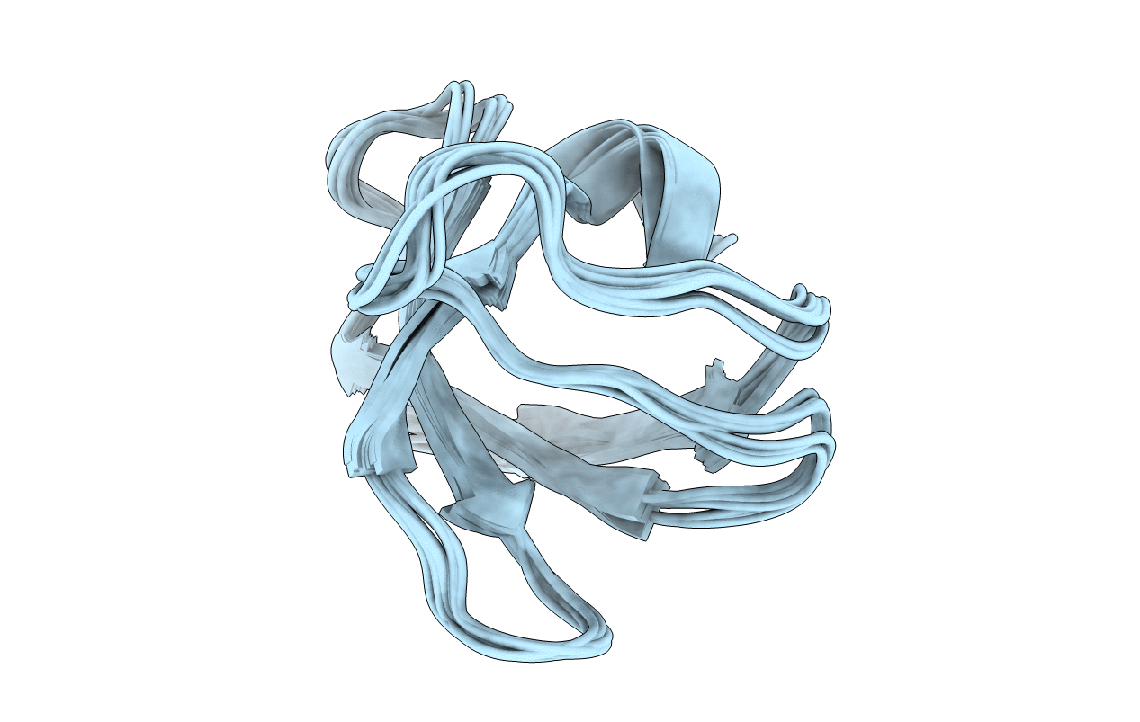 2L2P image
