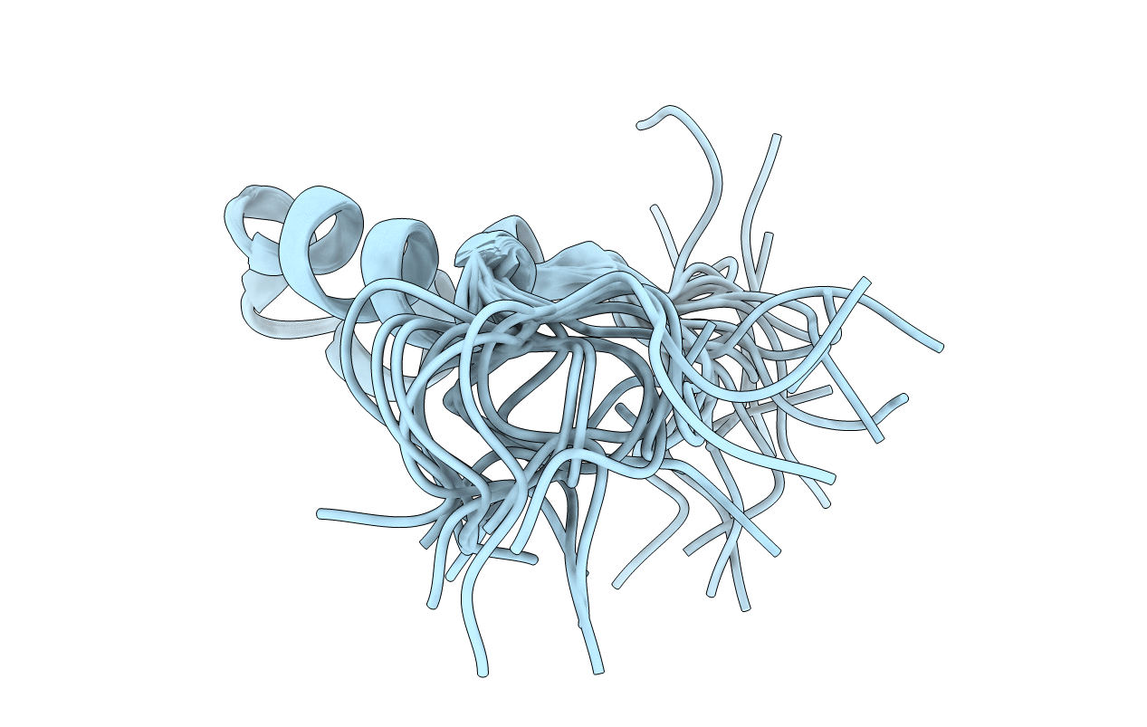 2L2R image