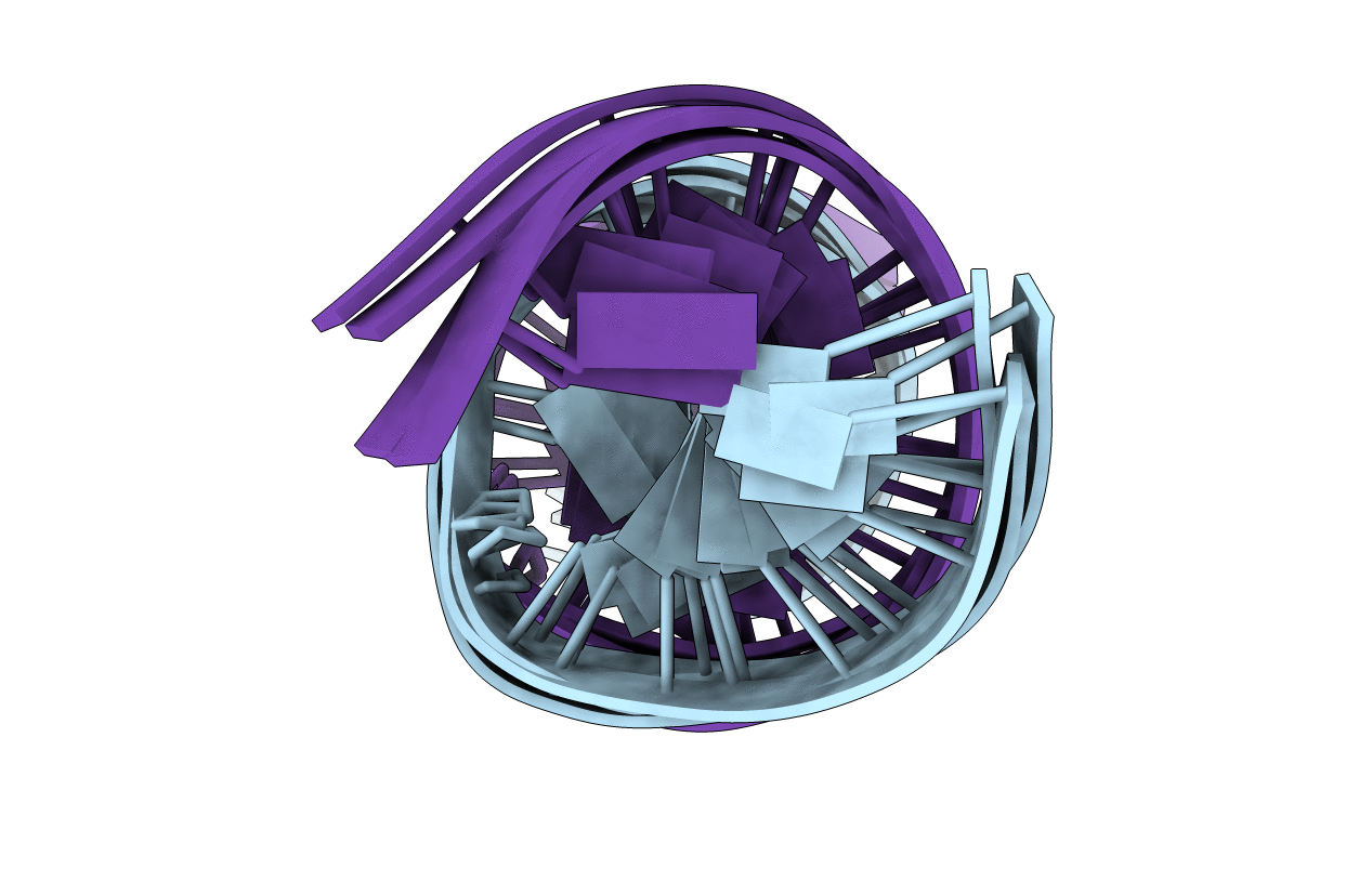 2L2V image