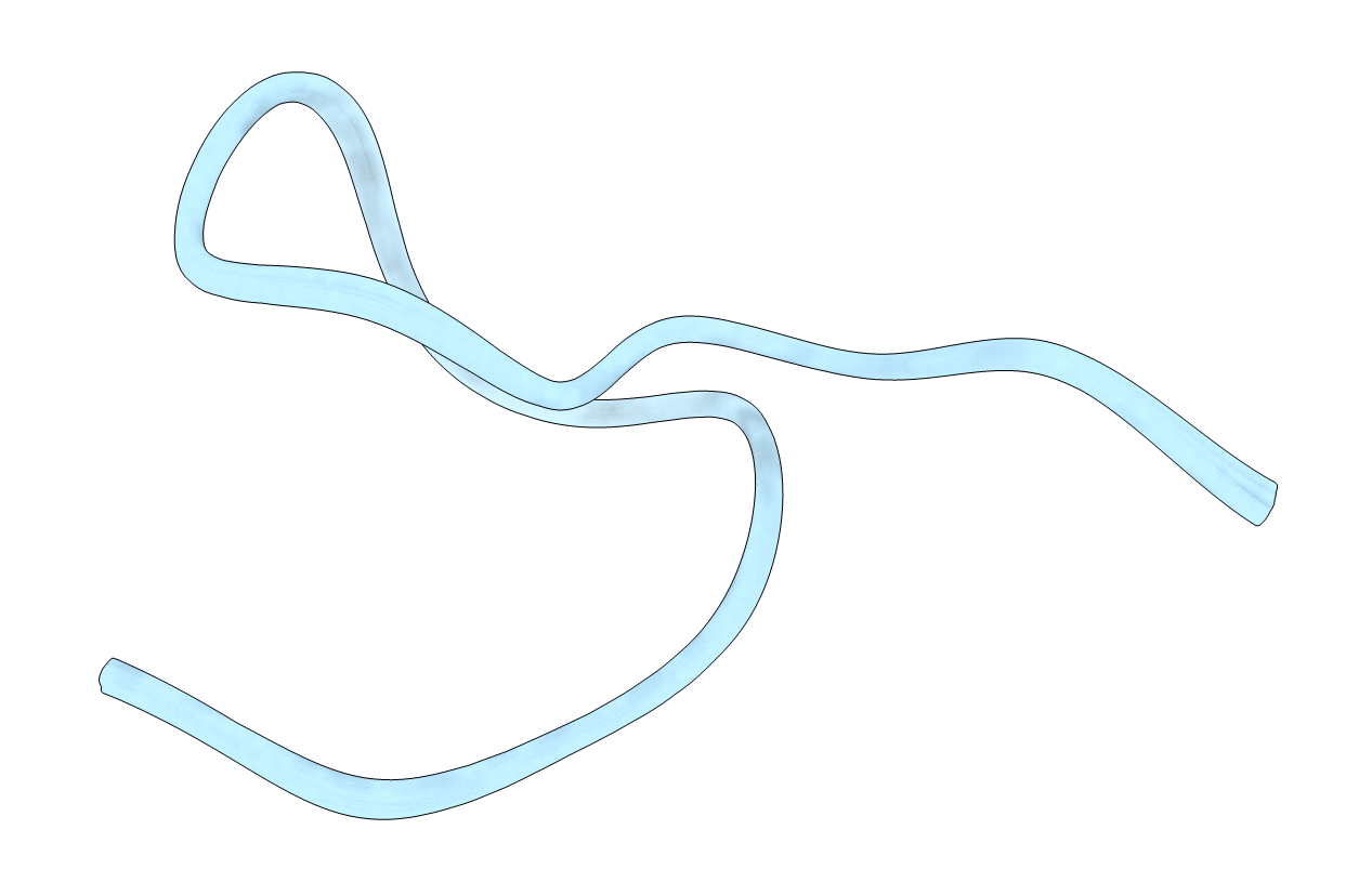 2L2X image