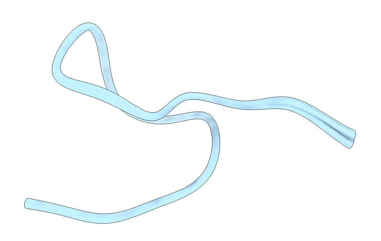 2L2Y image