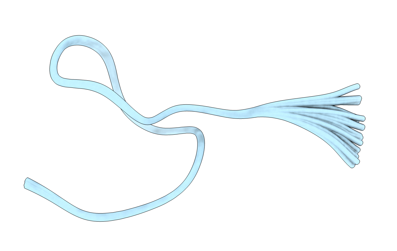2L2Z image