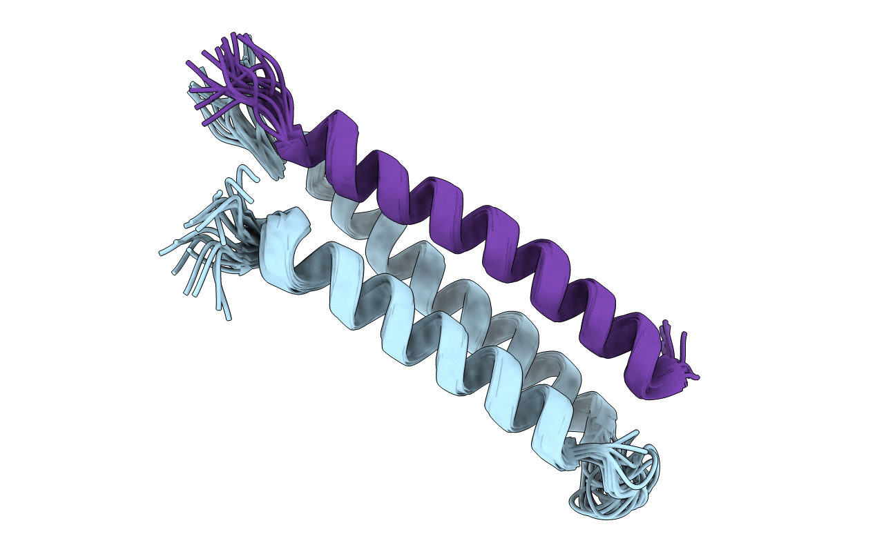 2L35 image
