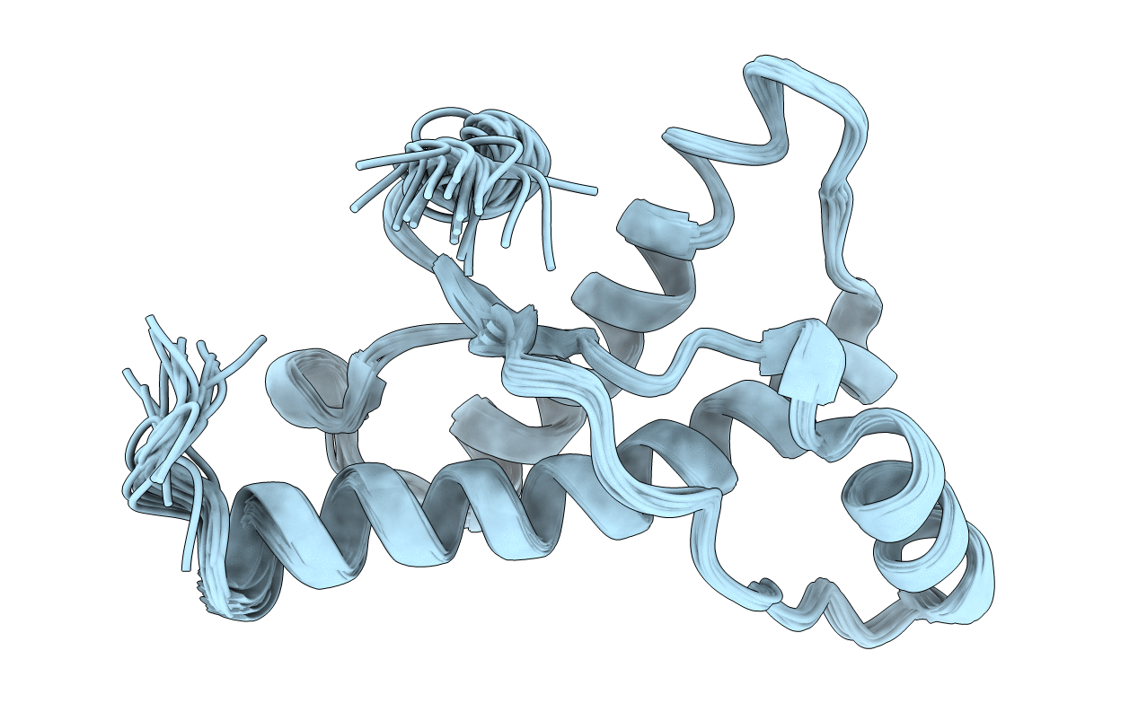 2L39 image