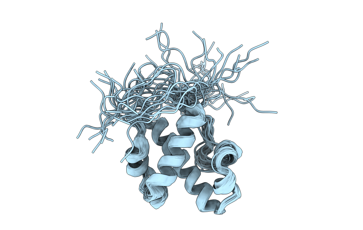 2L3D image
