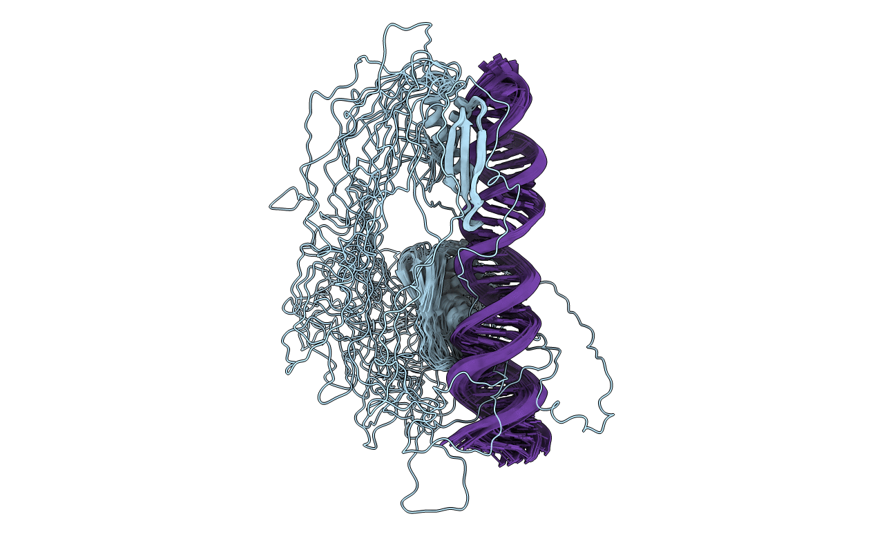 2L3J image