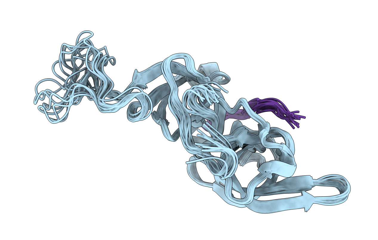 2L3R image