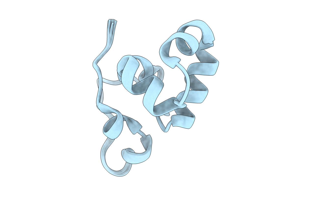 2L3X image